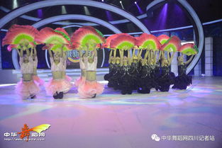 舞韻綻芳華，星光啟航藝術培訓學校攜《陌上花開》亮相四川廣播電視臺超級新秀場